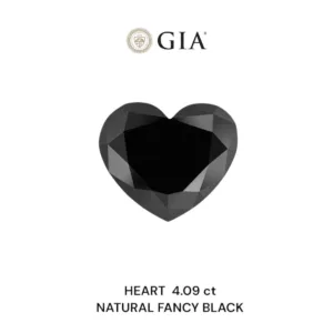4.09 Carat Heart Fancy Black VVS2 Natural Diamond