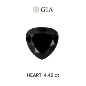 4.49 Carat Heart Fancy Black VVS2 Natural Diamond