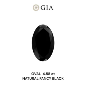 4.58 Carat Oval Fancy Black VVS2 Natural Diamond