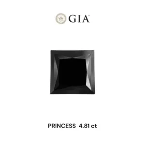 4.81 Carat Princess Fancy Black VVS2 Natural Diamond
