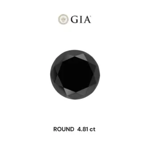 4.81 Carat Round Fancy Black VVS2 Natural Diamond
