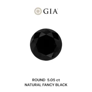 5.05 Carat Round Fancy Black VVS2 Natural Diamond