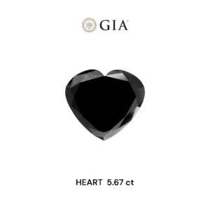 5.67 Carat Heart Fancy Black VVS2 Natural Diamond