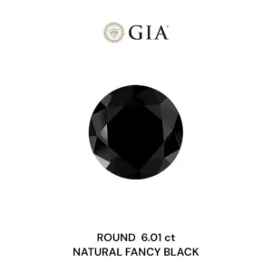 6.01 Carat Round Fancy Black VVS2 Natural Diamond