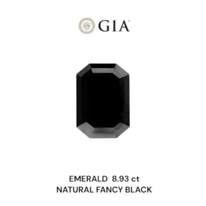 8.93 Carat Emerald Fancy Black VVS2 Natural Diamond