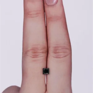 0.46 Carat Princess Black Natural Diamond