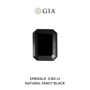 0.8 Carat Emerald Fancy Black VVS2 Natural Diamond