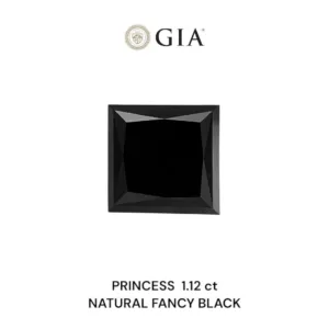 1.12 Carat Princess Fancy Black VVS2 Natural Diamond