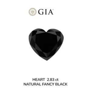 2.83 Carat Heart Fancy Black VVS2 Natural Diamond