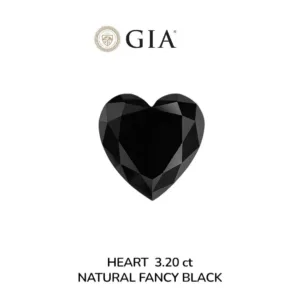 3.2 Carat Heart Fancy Black VVS2 Natural Diamond