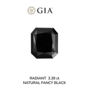 3.39 Carat Radiant Fancy Black VVS2 Natural Diamond