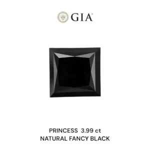 3.99 Carat Princess Fancy Black VVS2 Natural Diamond