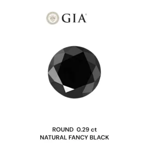 0.29 Carat Round Fancy Black VVS2 Natural Diamond