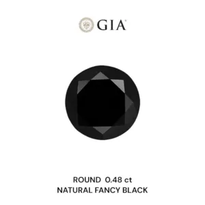 0.48 Carat Round Fancy Black VVS2 Natural Diamond