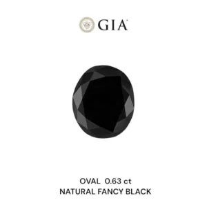 0.63 Carat Oval Fancy Black VVS2 Natural Diamond