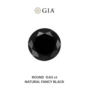 0.63 Carat Round Fancy Black VVS2 Natural Diamond
