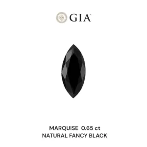 0.65 Carat Marquise Fancy Black VVS2 Natural Diamond