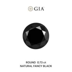 0.73 Carat Round Fancy Black VVS2 Natural Diamond