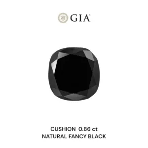 0.86 Carat Cushion Brilliant Fancy Black VVS2 Natural Diamond