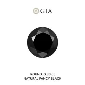 0.86 Carat Round Fancy Black VVS2 Natural Diamond