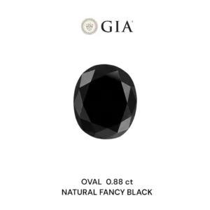 0.88 Carat Oval Fancy Black VVS2 Natural Diamond