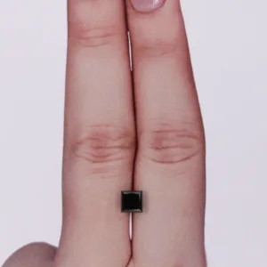 0.89 Carat Princess Black Natural Diamond