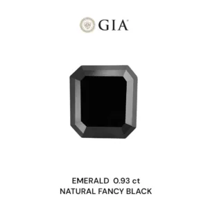 0.93 Carat Emerald Fancy Black VVS2 Natural Diamond