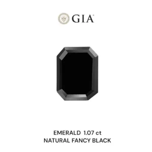 1.07 Carat Emerald Fancy Black VVS2 Natural Diamond
