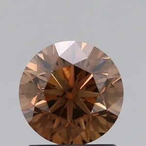 1.19 Carat Round Fancy Dark Brown VS2 Natural Diamond
