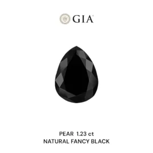 1.23 Carat Pear Fancy Black VVS2 Natural Diamond
