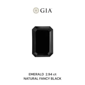 2.94 Carat Emerald Fancy Black VVS2 Natural Diamond