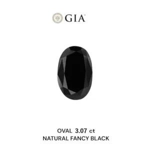 3.07 Carat Oval Fancy Black VVS2 Natural Diamond