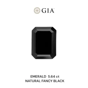 5.64 Carat Emerald Fancy Black VVS2 Natural Diamond
