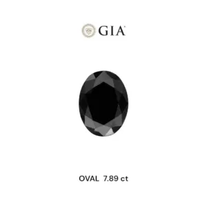 7.89 Carat Oval Fancy Black VVS2 Natural Diamond