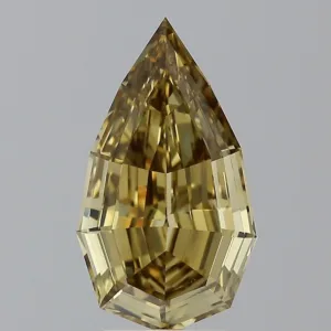 3.05 Carat Other Fancy Dark Brown Yellow VS2 Natural Diamond
