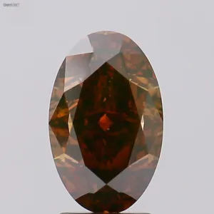 3.4 Carat Oval Fancy Dark Brown SI1 Natural Diamond